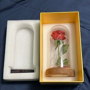 Enchanted Rose in Glass Dome